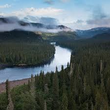 A river
